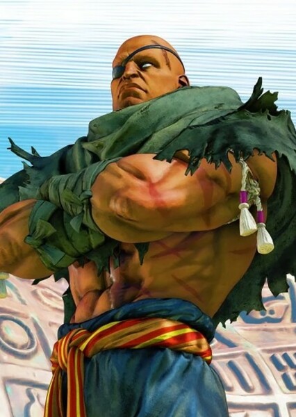 Sagat photo