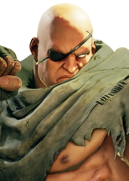 Sagat photo