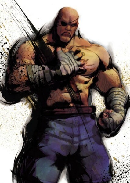 Sagat photo