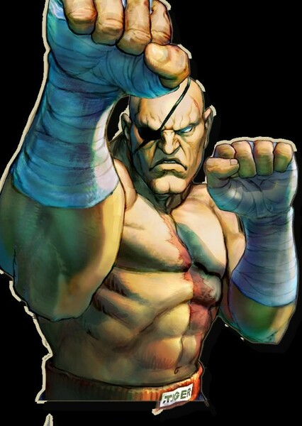 Sagat photo