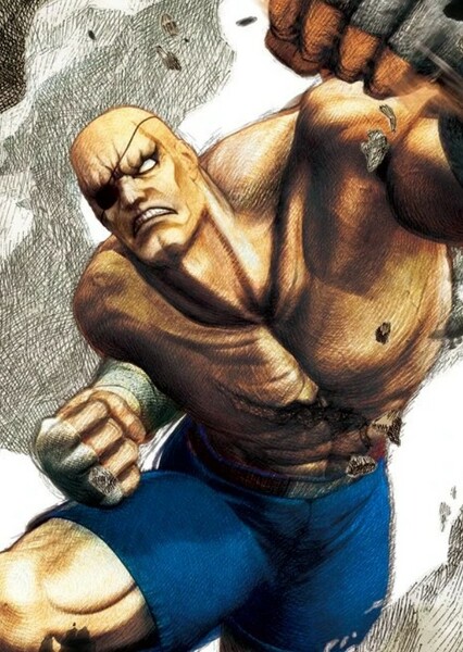 Sagat photo