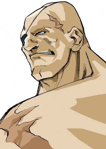 Sagat photo