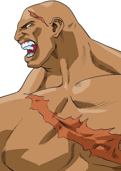 Sagat photo