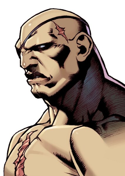 Sagat photo