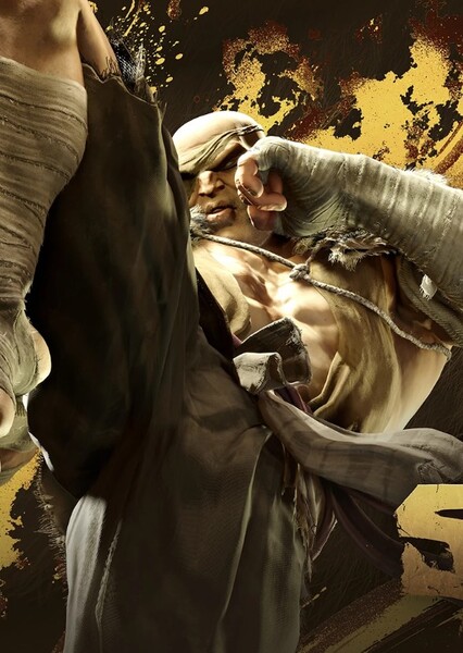 Sagat photo