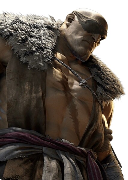 Sagat photo