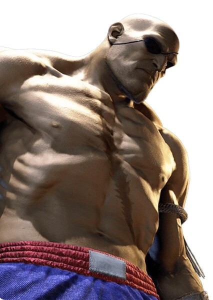Sagat photo