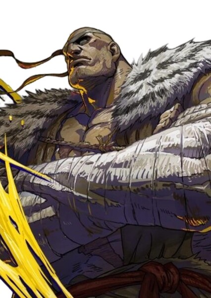 Sagat photo