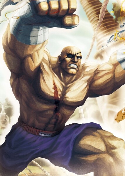Sagat photo
