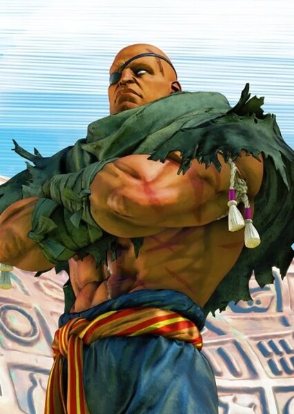 Sagat photo