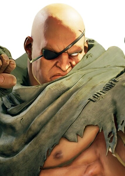 Sagat photo