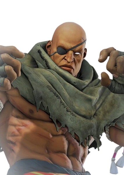 Sagat photo