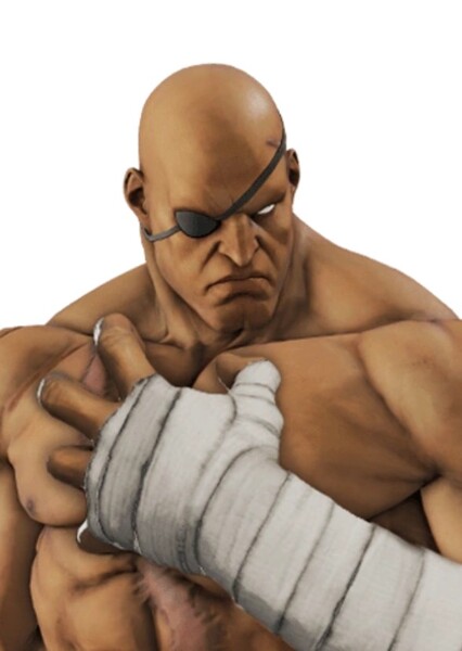 Sagat photo