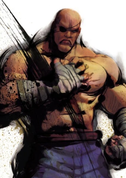 Sagat photo