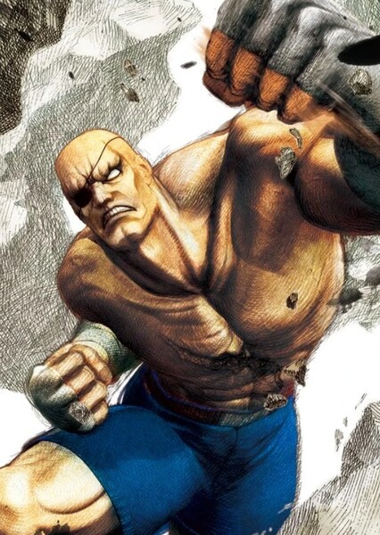 Sagat photo