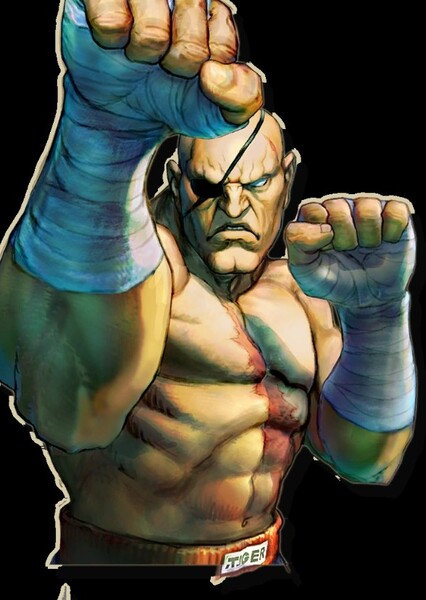 Sagat photo
