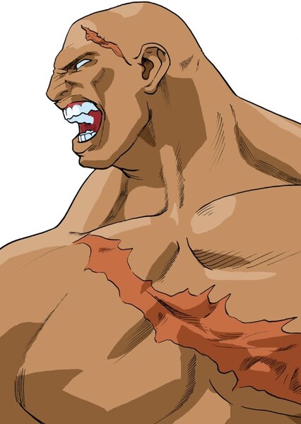 Sagat photo