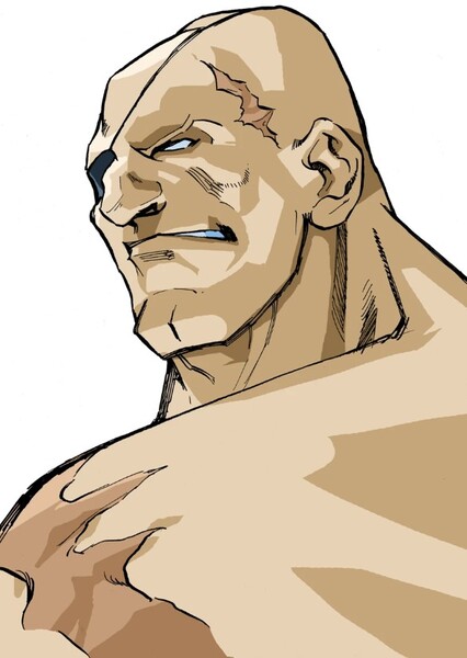 Sagat photo