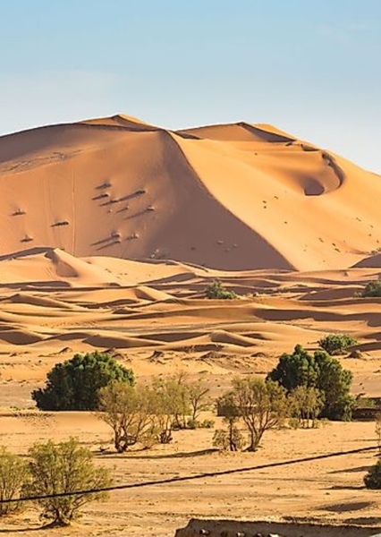 Sahara