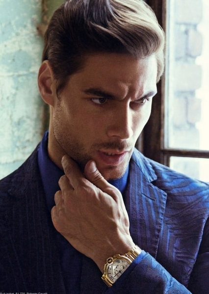 Sahib Faber photo