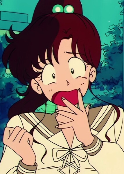 Sailor Jupiter photo