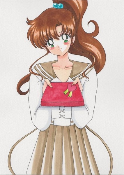 Sailor Jupiter photo
