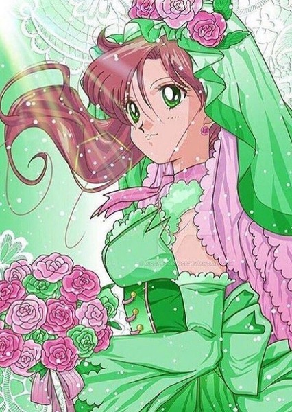 Sailor Jupiter photo