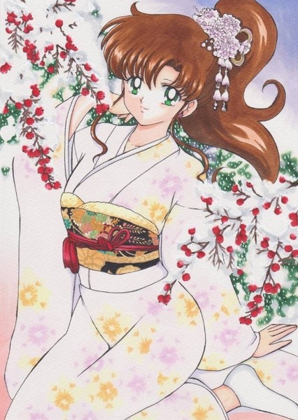 Sailor Jupiter photo