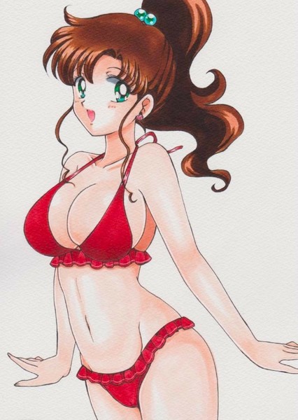 Sailor Jupiter photo