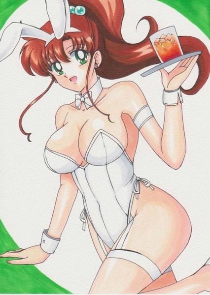 Sailor Jupiter photo