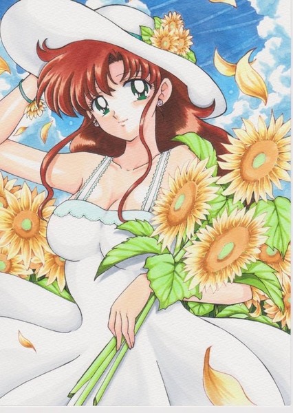 Sailor Jupiter photo