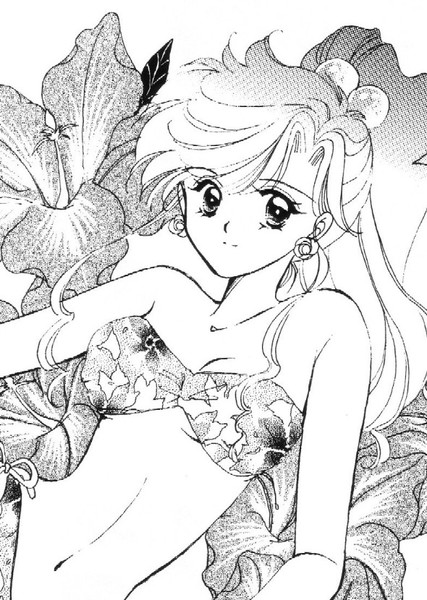 Sailor Jupiter photo