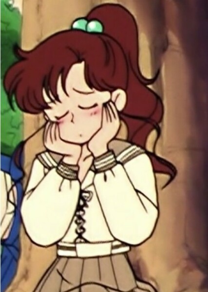 Sailor Jupiter photo