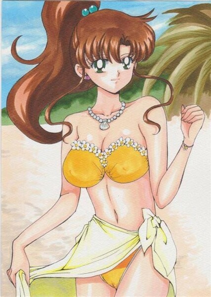 Sailor Jupiter photo
