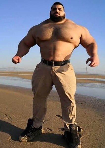 Sajad Gharibi photo