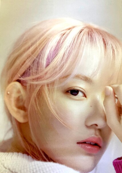 Sakura photo