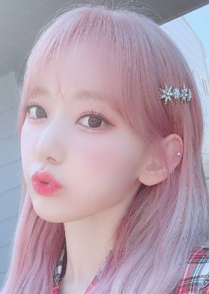 Sakura photo