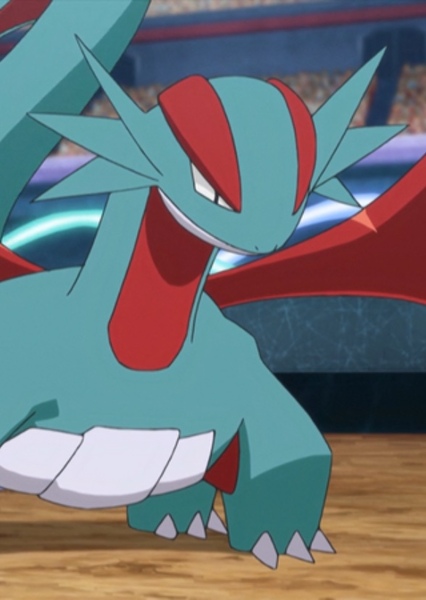 Salamence photo