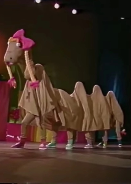 Sally the Camel