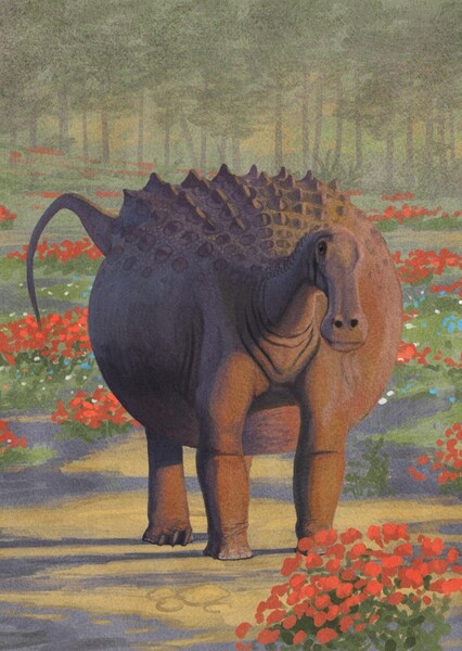 Saltasaurus photo