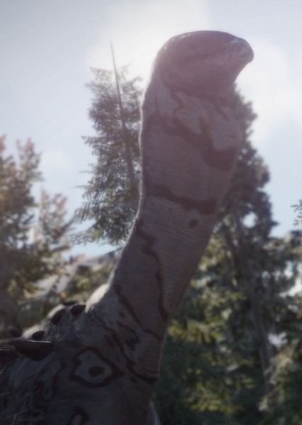 Saltasaurus photo