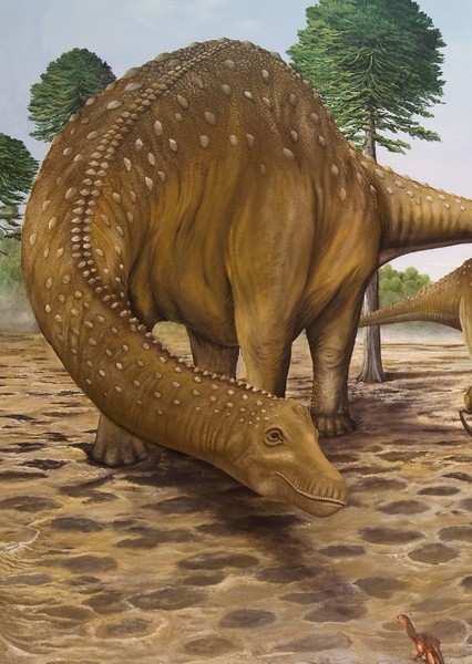 Saltasaurus photo
