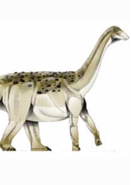 Saltasaurus photo