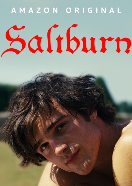 Saltburn photo