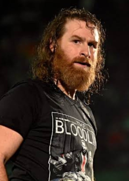 Sami Zayn photo