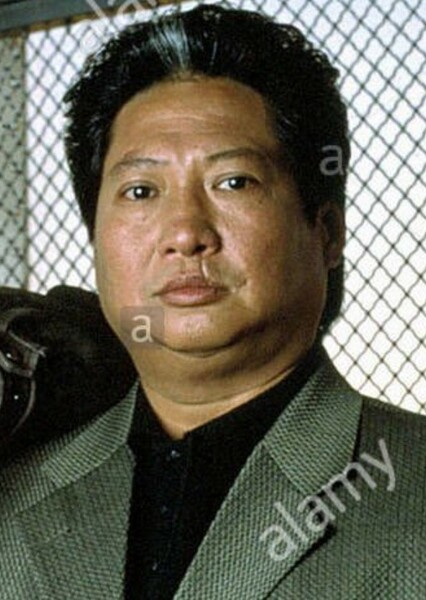 Sammo Hung Kam-Bo photo