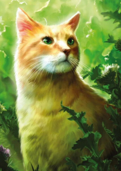 Sandstorm (Warrior Cats) photo