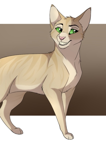 Sandstorm (Warrior Cats) photo