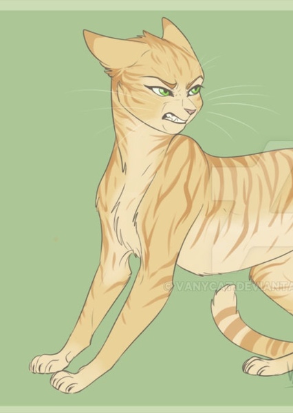 Sandstorm (Warrior Cats) photo