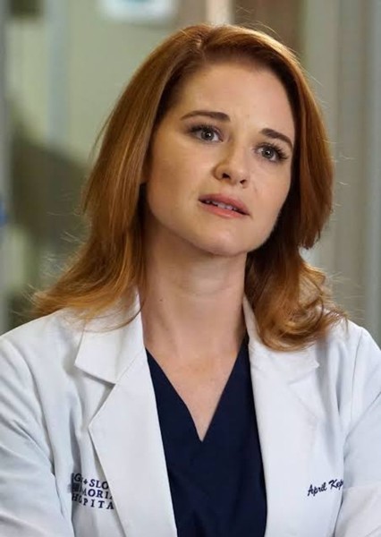 Sarah Drew photo